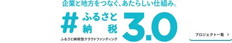 泉佐野市ふるさと納税特設サイト「さのちょく」