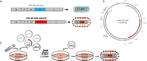 Psv001 Sino Biological Bioz