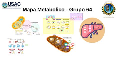 Mapa Metabolico Grupo 64 By Joab Mayca On Prezi