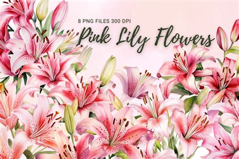 Pink Lily Flowers Watercolor Clipart Graphic By Sasikharn Creative