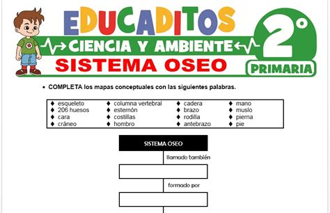 Sistema Seo Para Segundo De Primaria Educaditos The Best Porn