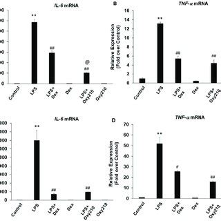 Inhibition Of LPS Induced Inflammatory Gene Expression In RAW264 7