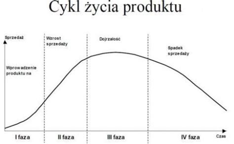 Cykl Ycia Produktu Sprawd Najwa Niejsze Informacje Blog Verseo