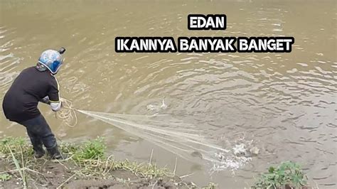 Pertama Di Dunia Jala Ikan Dapat Banyak Puluhan Kg Sekali Tebar Youtube