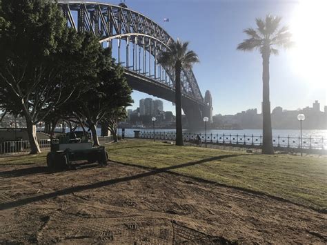 Maxi Turf Laying Service Sydney Associated Turf