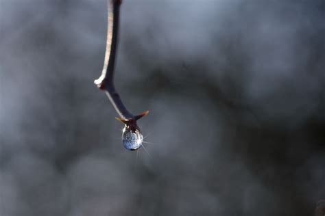 Fondos de pantalla agua reflexión cielo rama Vigas Sol Bokeh