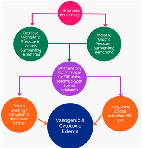 Emergency Medicine Educationfigure2