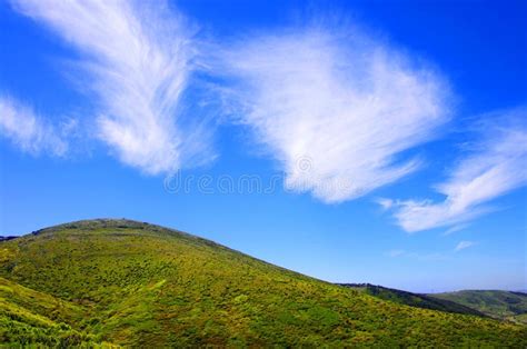 Green Hills Stock Image Image Of Park Grassland Grass 31994843