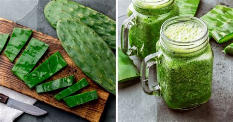 Licuados Con Nopal Para Empezar El D A Ligera Salud