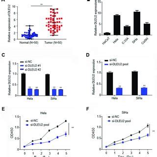 Lncrna Dleu Is Upregulated In Cervical Cancer Tissues And Suppresses