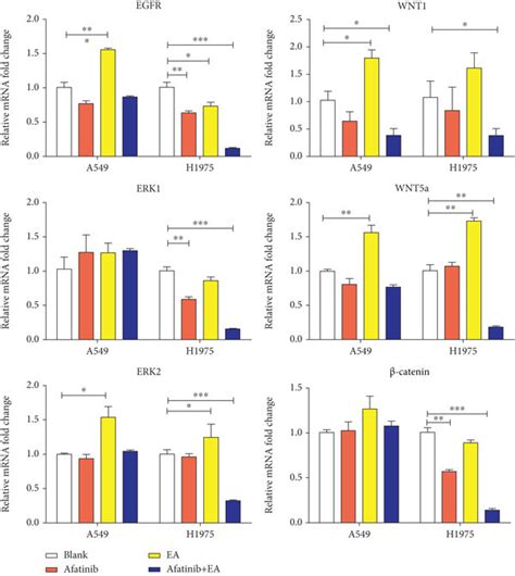 Combination with afatinib and EA inhibited EGFR pathway and WNT ...