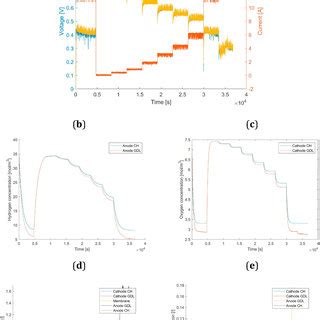 Results Of The Calibrated Model Using Polarisation Curve Measurement R