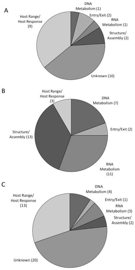 Functional Categories Of The Genes Under Diversifying Selection A