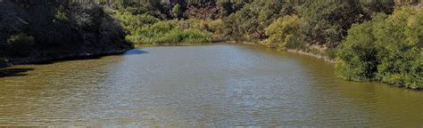 Lake Road Lake Loop And John Brooks Trail California 375 Reviews