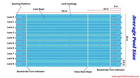 50m Ten Lane Olympic Swimming Pool Dimensions Drawing