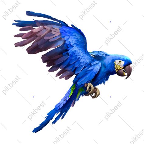 Beautiful Colorful Parrot Bird In Flight Png Images Psd Free Download