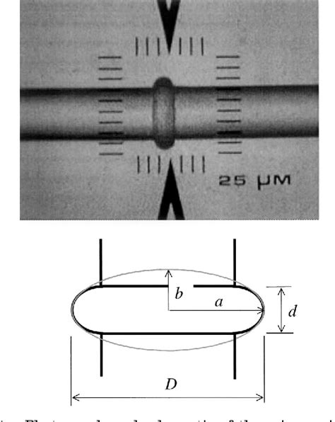 Figure From Microtorus A High Finesse Microcavity With Whispering