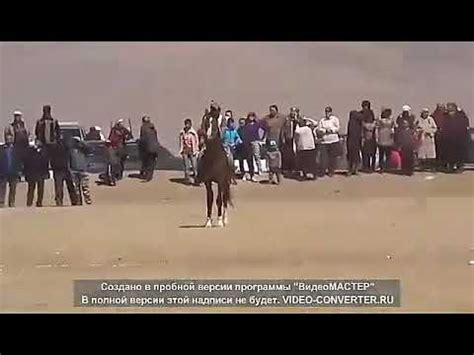 Начын Санчат - YouTube