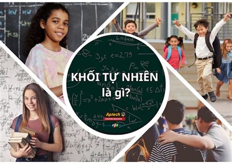 Khối tự nhiên gồm những môn nào ngành nào Kiến Thức Cho Người lao