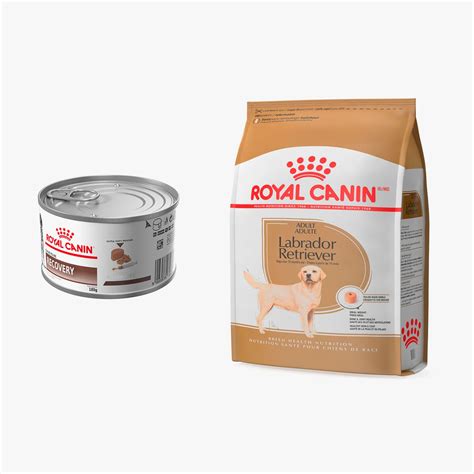 Royal Canin Pet Food Collection 3d Model 29 3ds Fbx Obj Ma Max