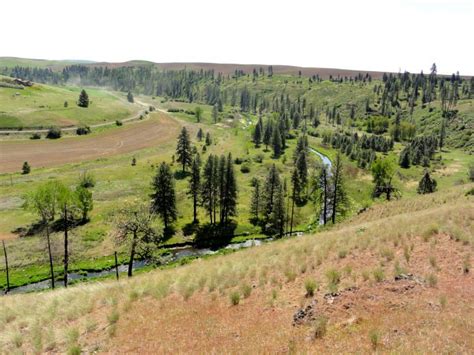 FISH & WILDLIFE HABITAT — Palouse Land Trust