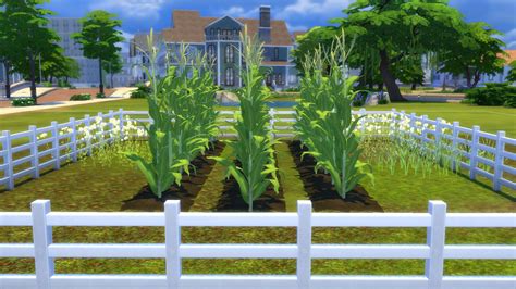 Sims 3 Gardening Mod Beautiful Insanity