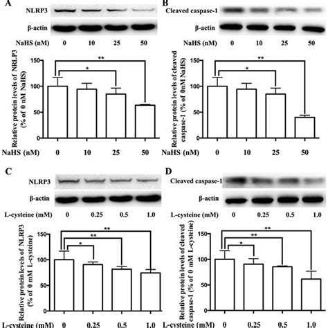 Effects Of Nahs And L Cysteine On The Expression Levels Of Nlrp And