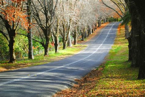 5 Best Fall Drives In The Smokies Road Trip Usa Valley Of Fire Us