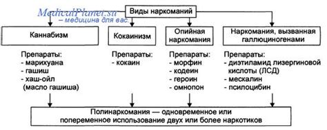 Причины наркомании и токсикомании. Виды наркомании. Каннабизм.