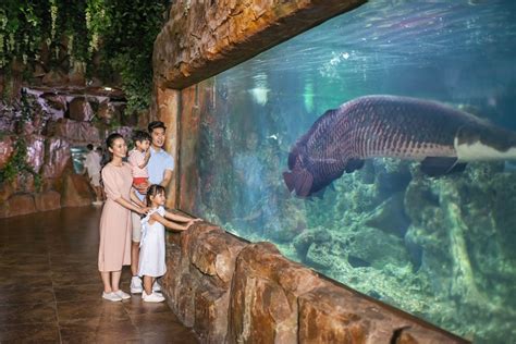 Thủy Cung Times City Đại Dương Thu Nhỏ Giữa Lòng Thủ đô