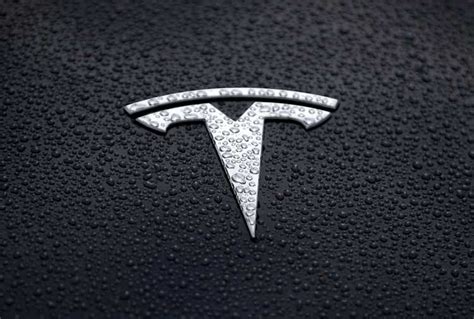 Tesla Lands Higher Estimates From Wedbush As The Most Undervalued Ai