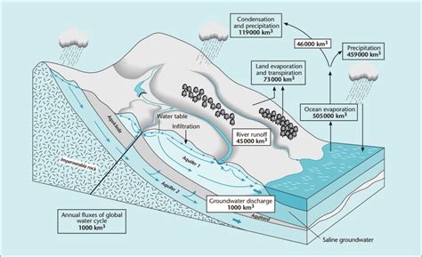 A Representation Of The Movement Of Water On Land As Well As Below The