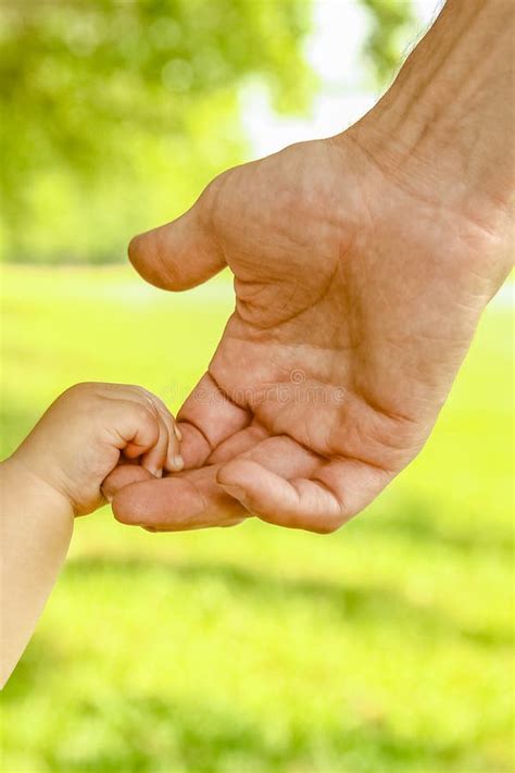 Manos De Un Padre Feliz Y De Un Hijo En La Naturaleza Foto De Archivo