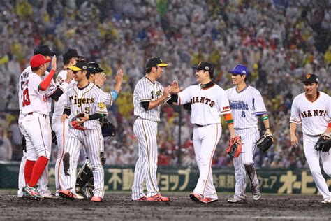 A Guide to Japanese Baseball Leagues: Understanding the NPB and its ...