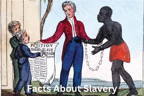 10 Facts About Slavery - Have Fun With History