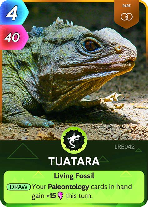 Tuatara