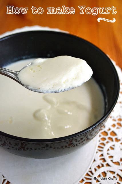 How To Make Yogurt Curd Dahi Homemade Curd ~ Indian Khana