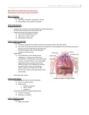 Hcd Iii Perfusion Docx Hcd Iii Module A Perfusion Hcd Iii Perfusion