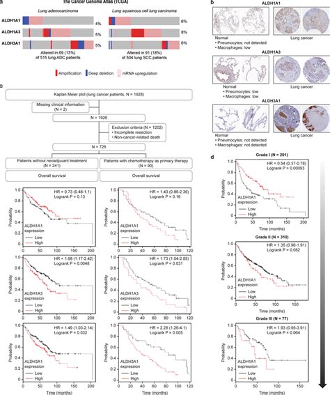 Expression Of ALDH Genes Impacts The Survival Of NSCLC Patients A