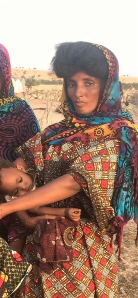 Fulani Women: African Beauty and Culture