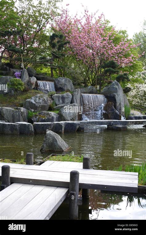 Pond in Japanese Garden Stock Photo - Alamy