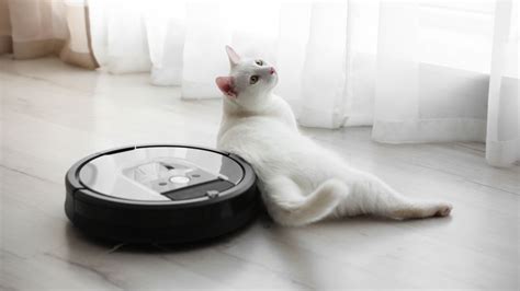 Roomba Avis Un Aspirateur Robot Abordable Promo