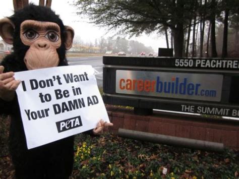 15 Most Memorable Peta Mascots Peta