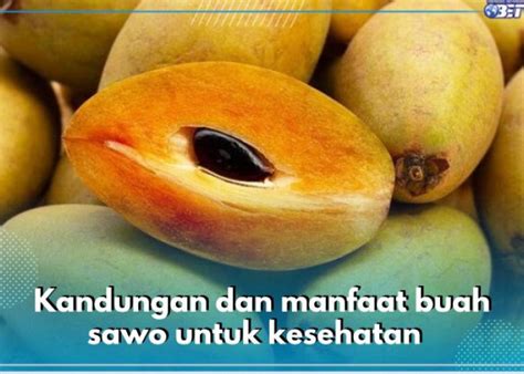 Intip Manfaat Pisang Bagi Kesehatan Tubuh Yang Perlu Diketahui