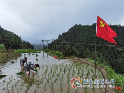 从江县加榜乡：永不褪色“橄榄绿” 志愿服务暖人心 黔东南县市新闻 从江 黔东南信息港