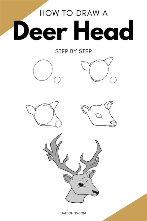 How To Draw A Deer Head In 8 Easy Steps