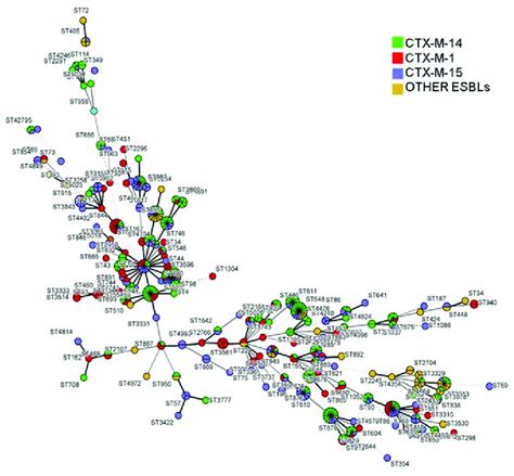 Minimal Spanning Tree Constructed Based On The Mlst Profiles Of The