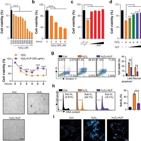 Roles Of Alp In Nrf2 Mediated Ho 1nqo 1 Pathways In H 2 O 2 Induced