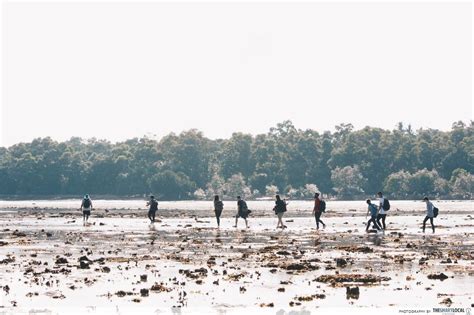 5 Things You Didn T Know About Singapores Only Landfill Pulau Semakau