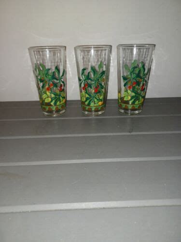 Vintage KIG INDONESIA Drinking Glass Tumblers FRUIT BERRIES 1960s 16 Oz